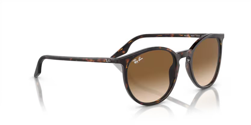 Ray-Ban 0RB2204