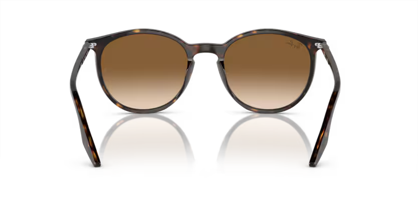 Ray-Ban 0RB2204