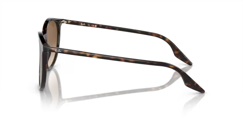 Ray-Ban 0RB2204