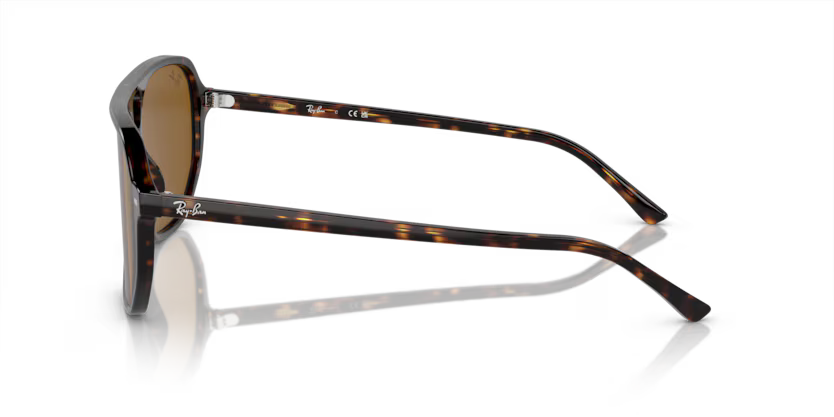 Ray-Ban 0RB2204