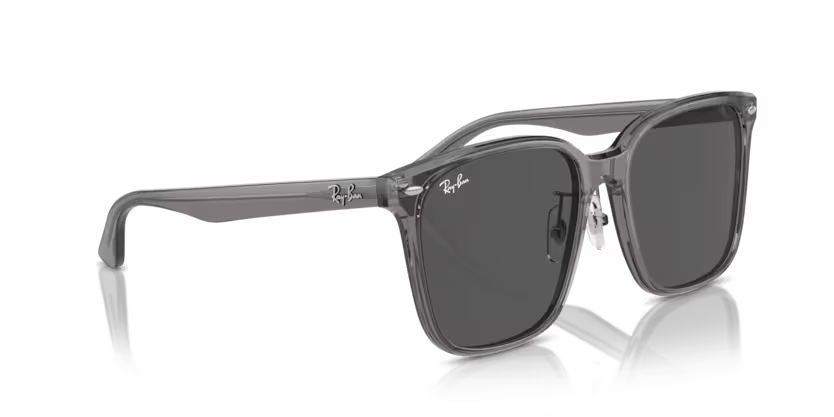 Ray-Ban 0RB2206D