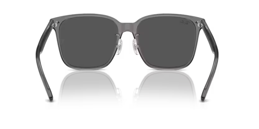 Ray-Ban 0RB2206D