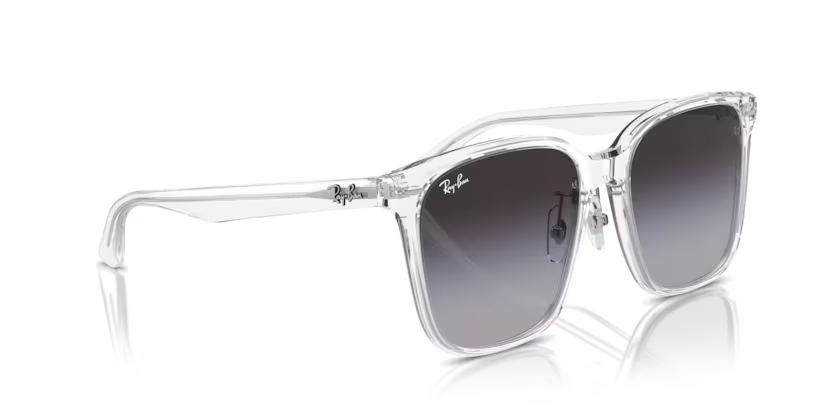 Ray-Ban 0RB2206D