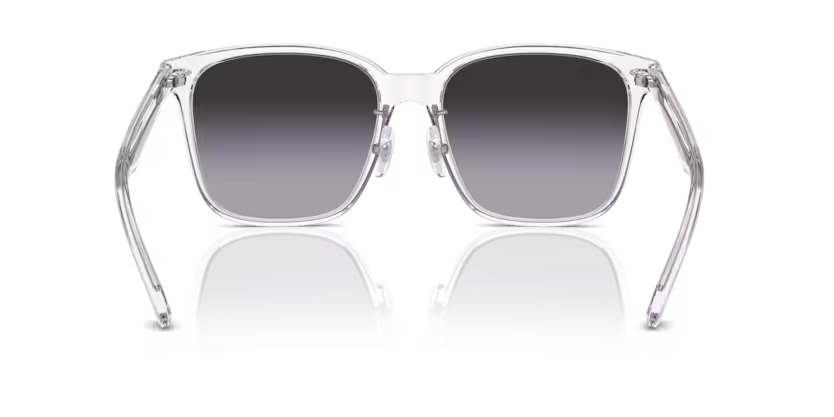 Ray-Ban 0RB2206D