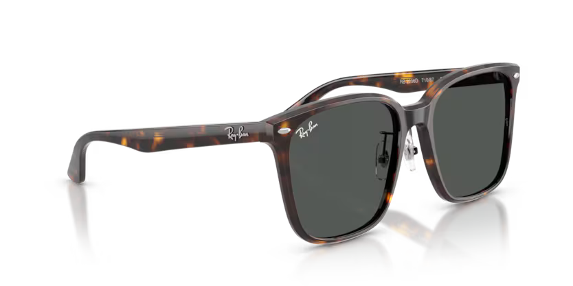 Ray-Ban 0RB2206D
