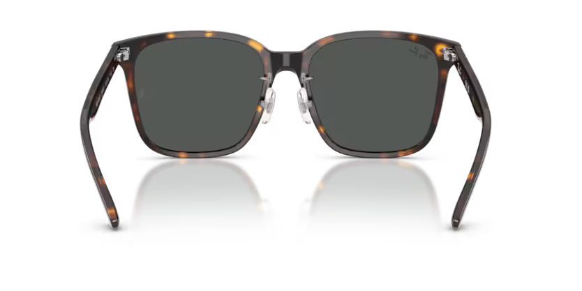 Ray-Ban 0RB2206D