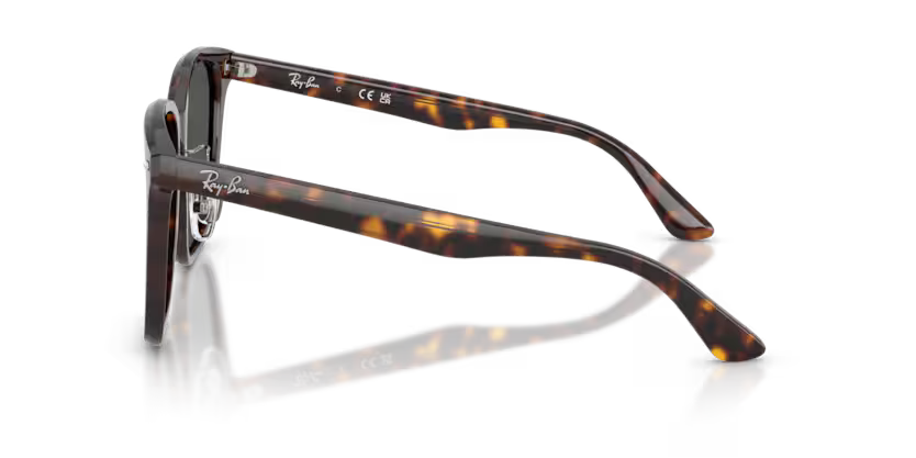 Ray-Ban 0RB2206D