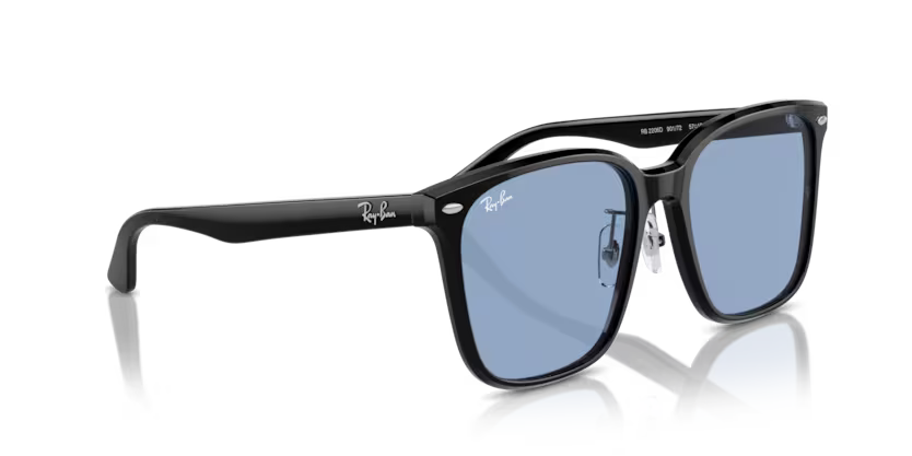 Ray-Ban 0RB2206D