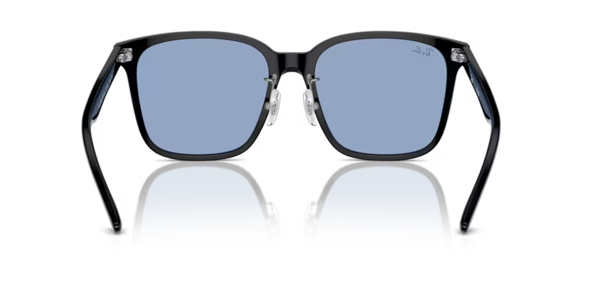 Ray-Ban 0RB2206D