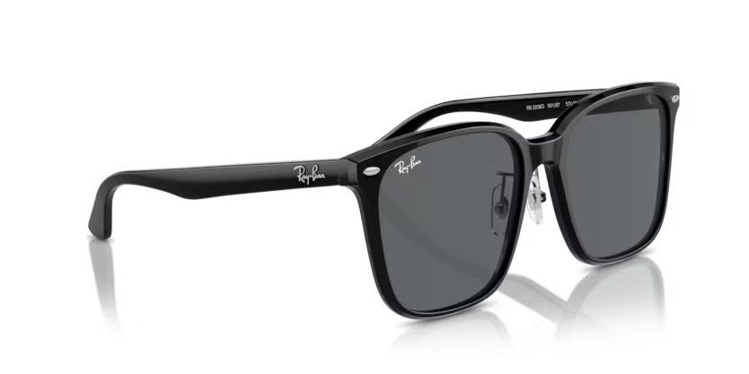 Ray-Ban 0RB2206D