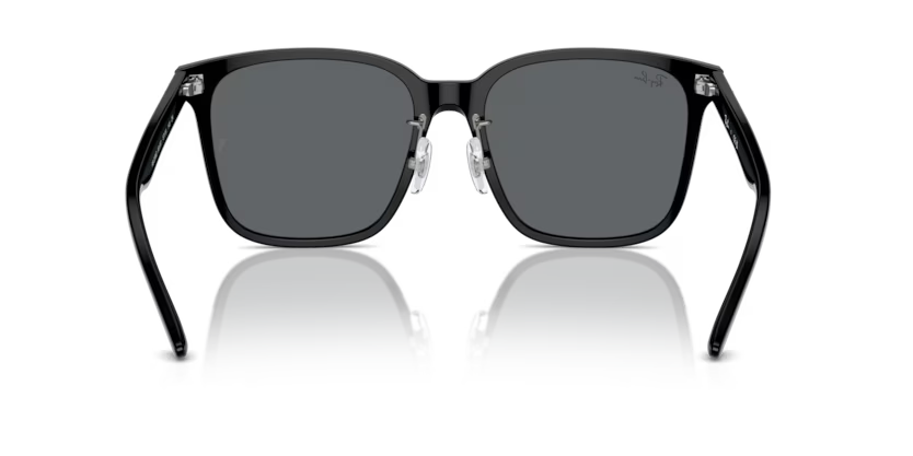 Ray-Ban 0RB2206D