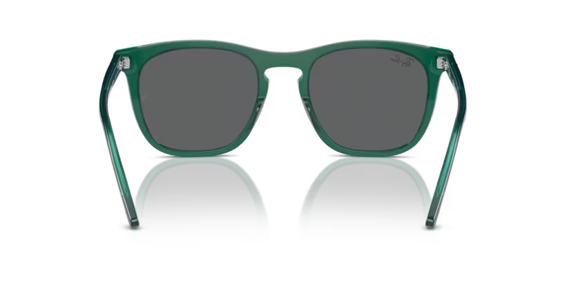 Ray-Ban 0RB2210