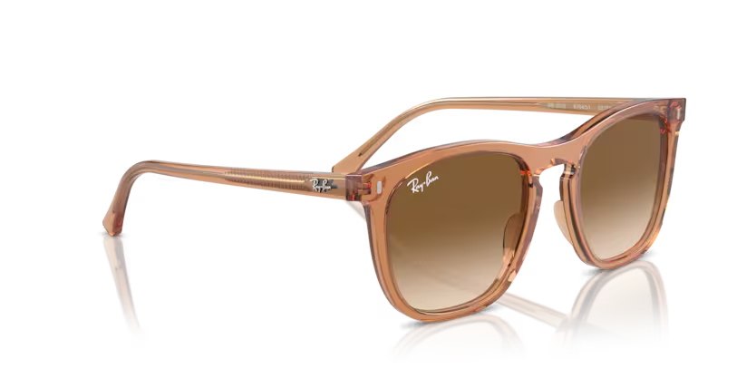 Ray-Ban 0RB2210