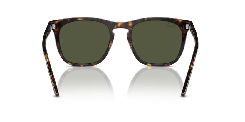 Ray-Ban 0RB2210