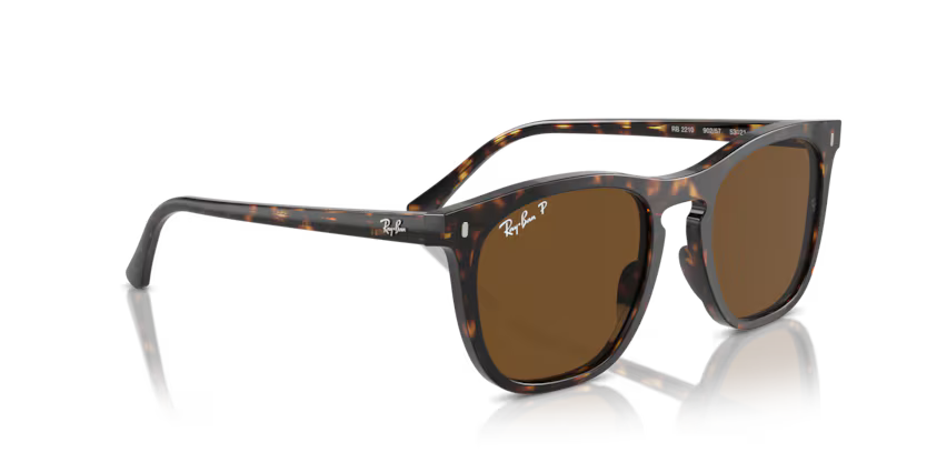 Ray-Ban 0RB2210