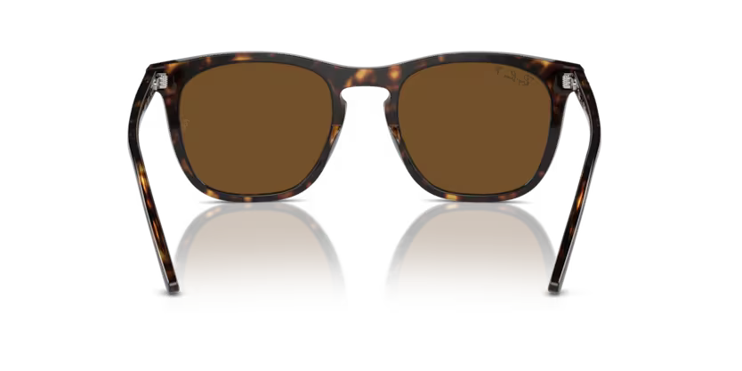Ray-Ban 0RB2210
