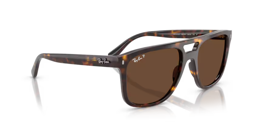Ray-Ban 0RB2213CH