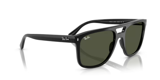 Ray-Ban 0RB2213