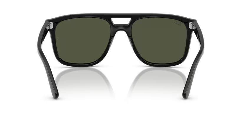 Ray-Ban 0RB2213