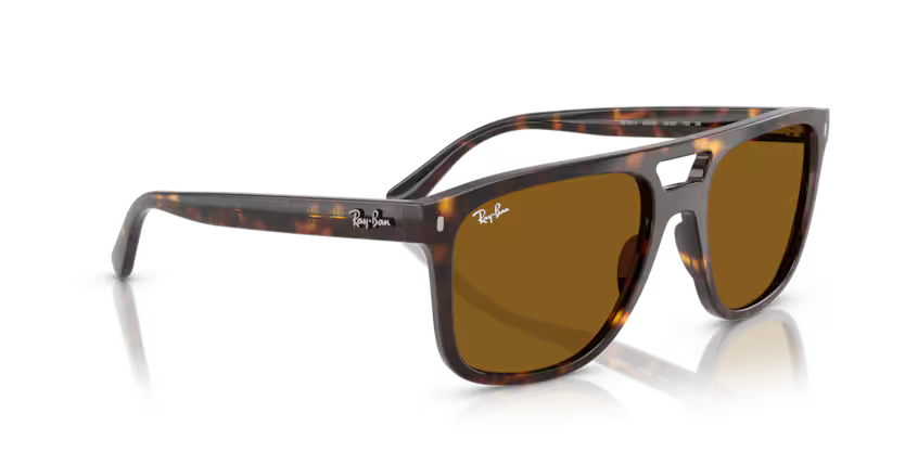 Ray-Ban 0RB2213