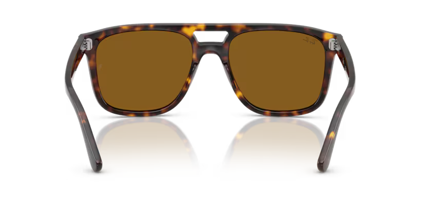Ray-Ban 0RB2213