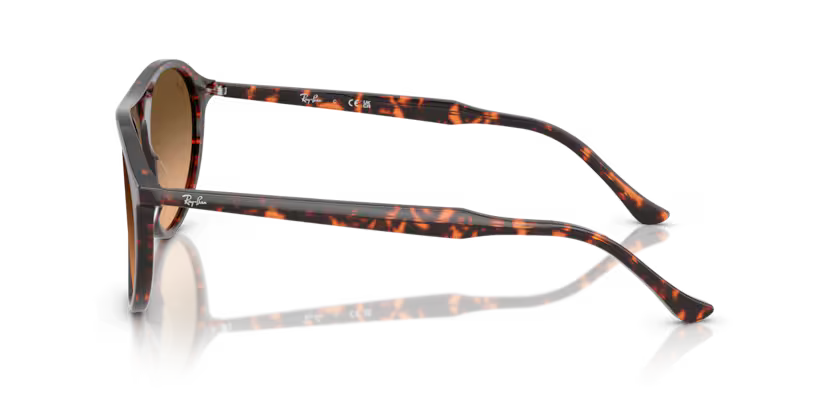 Ray-Ban 0RB2215