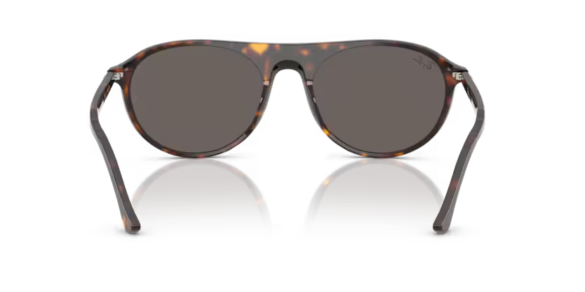 Ray-Ban 0RB2215