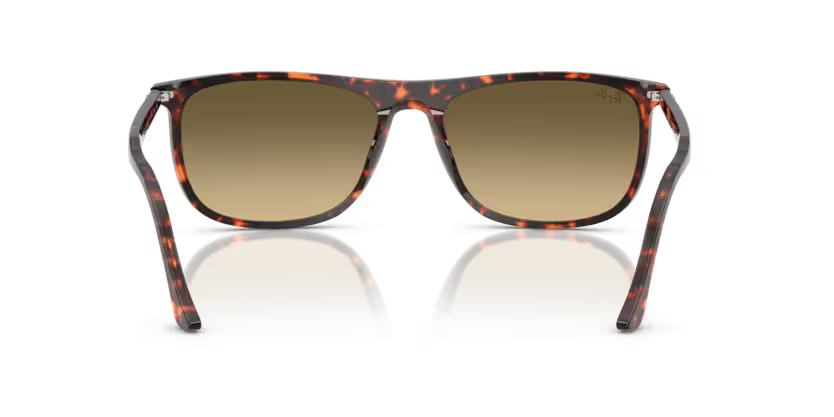 Ray-Ban 0RB2216