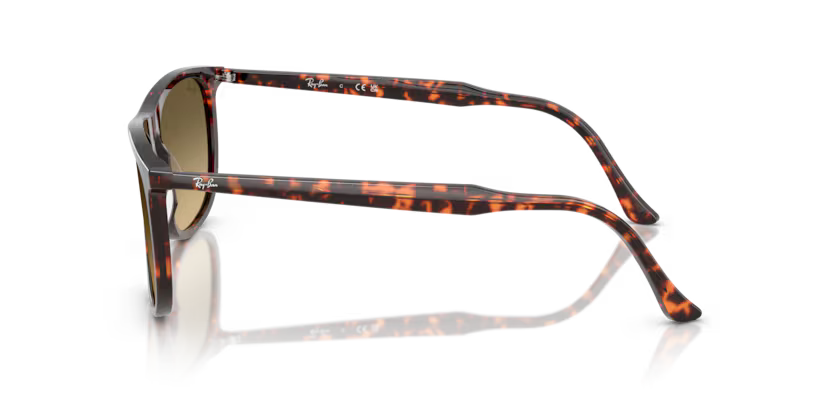 Ray-Ban 0RB2216