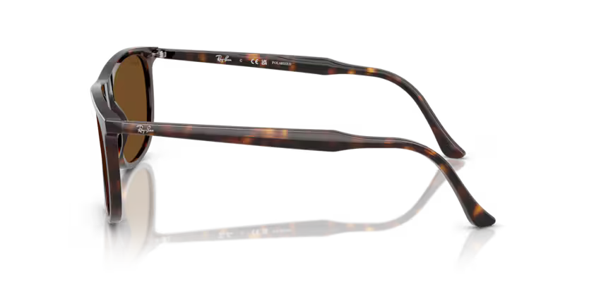 Ray-Ban 0RB2216