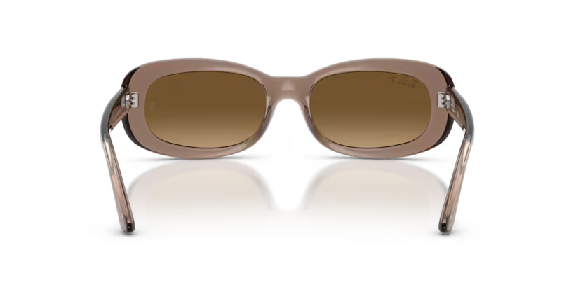 Ray-Ban 0RB2221
