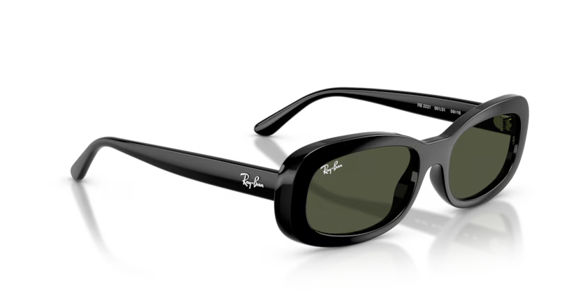 Ray-Ban 0RB2221