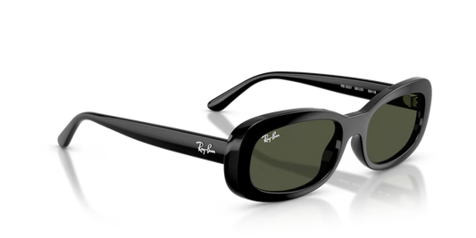 Ray-Ban 0RB2221