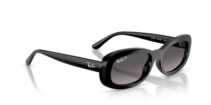 Ray-Ban 0RB2221
