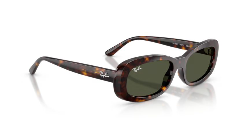 Ray-Ban 0RB2221