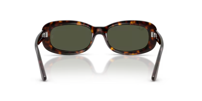 Ray-Ban 0RB2221