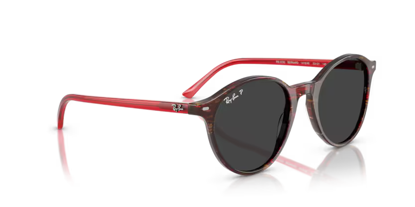 Ray-Ban 0RB2230