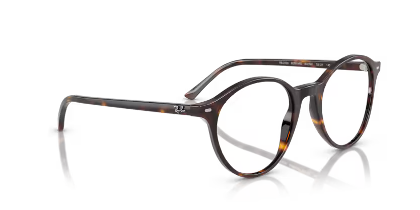 Ray-Ban 0RB2230