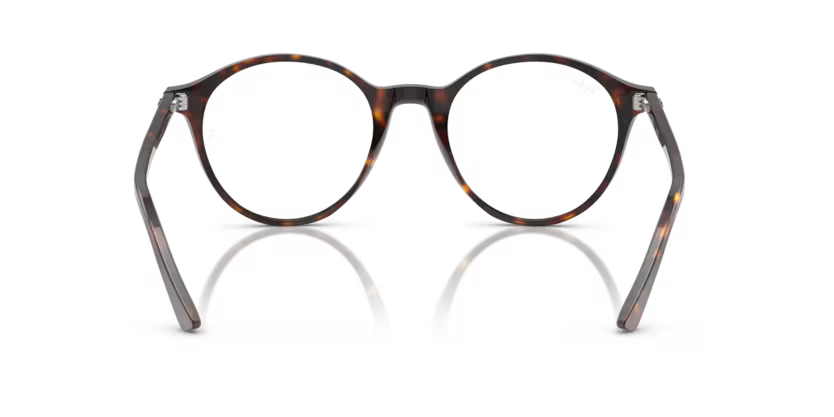 Ray-Ban 0RB2230