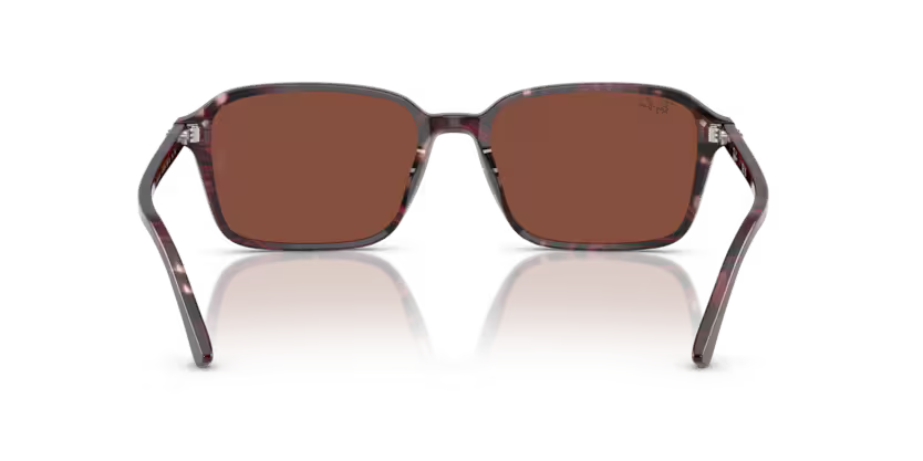 Ray-Ban 0RB2231