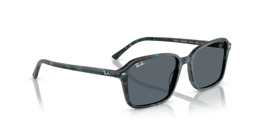 Ray-Ban 0RB2231