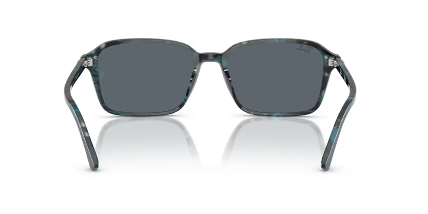 Ray-Ban 0RB2231