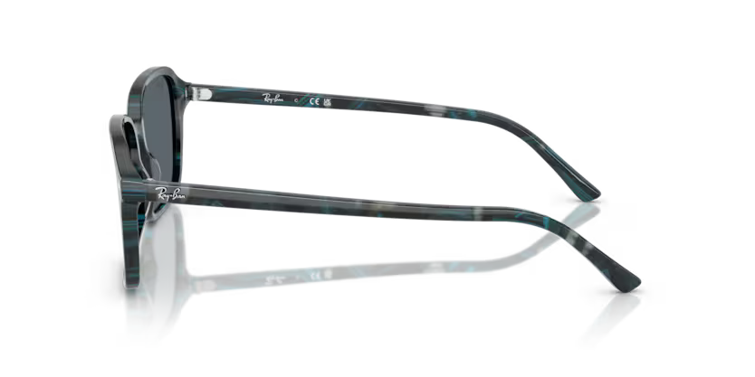 Ray-Ban 0RB2231