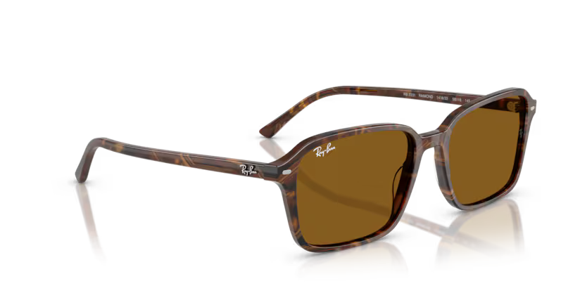 Ray-Ban 0RB2231