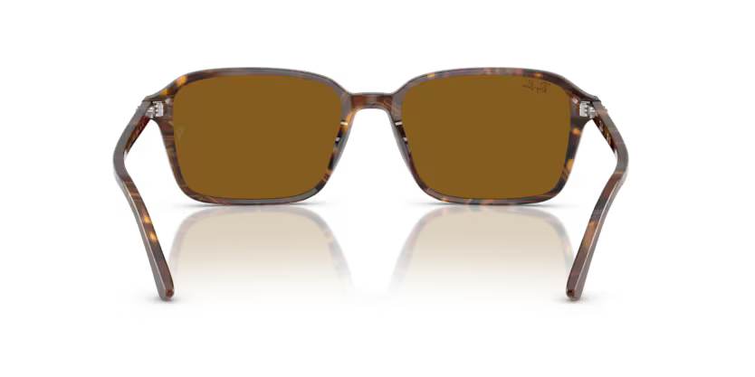 Ray-Ban 0RB2231