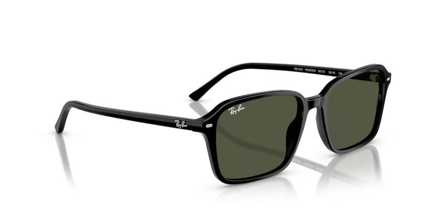 Ray-Ban 0RB2231