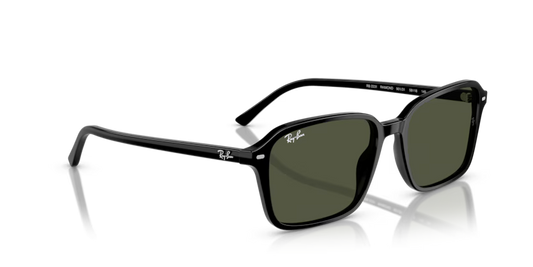 Ray-Ban 0RB2231