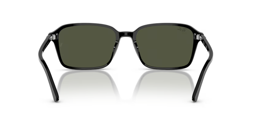 Ray-Ban 0RB2231