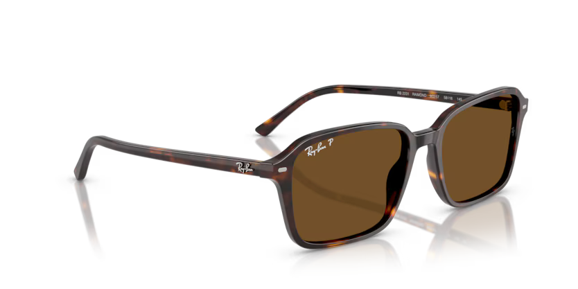 Ray-Ban 0RB2231
