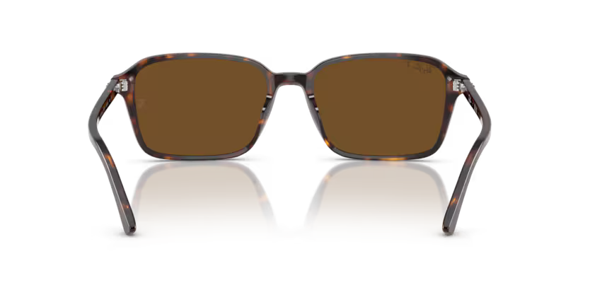 Ray-Ban 0RB2231